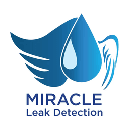 Logo de Miracle Leak Detection