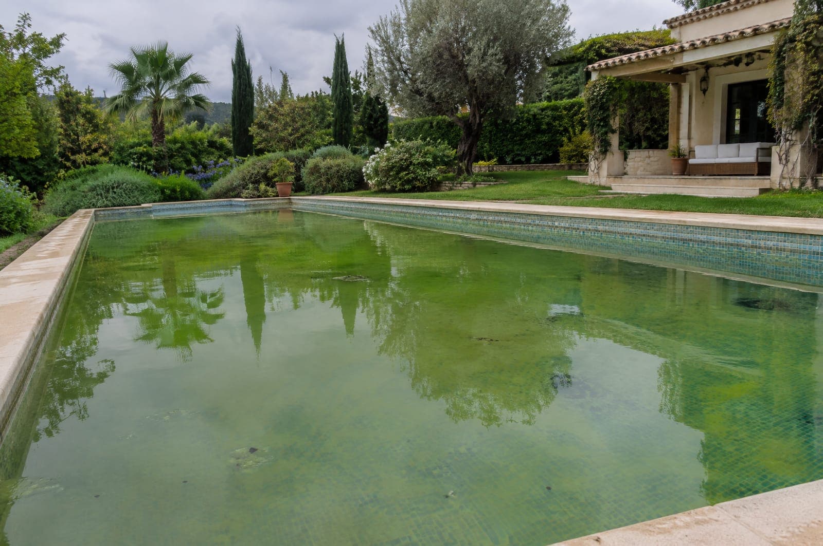Green, cloudy or milky water: maintenance issue or equipment fault